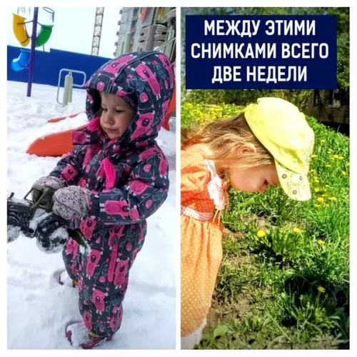 Смешная картинка №355156 Резкая смена погоды