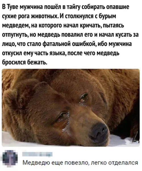 Смешная картинка №362187