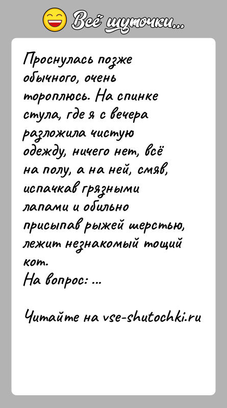 История: Проснулась позже обычного, очень тороплюсь. На спинке стула, где я с вечера разложила чистую одежду, ничего нет, всё на полу,
