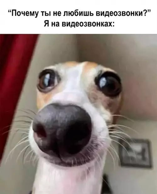 Смешная картинка №735266