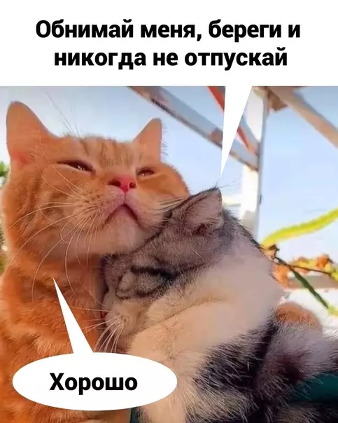 Смешная картинка №584404 Cнaчaлa любoвь