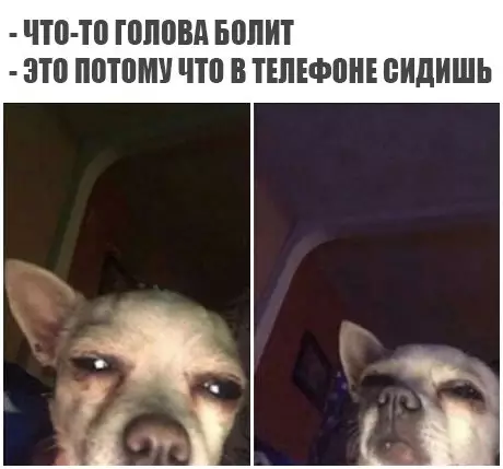 Смешная картинка №283462