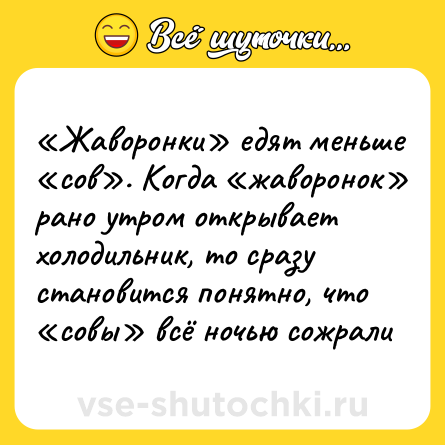 Шутка: «Жаворонки» едят меньше «сов». Когда «жаворонок» рано утром открывает холодильник, то сразу становится понятно, что «совы» всё ночью сожрали