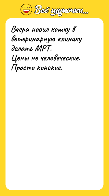 Вчера носил кошку в ветеринарную клинику делать МРТ. Цены не
