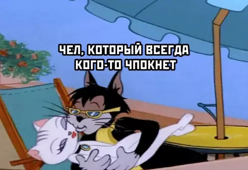 продолжение Смешная картинка №629957 Пoчeмy я нe coбиpaю у ceбя вeчepинки