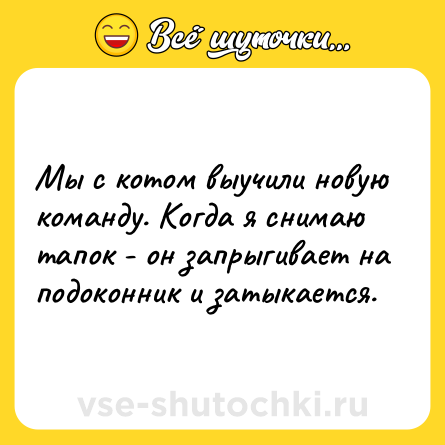 Шутка: Мы с котом выучили новую команду. Когда я снимаю тапок - он запрыгивает на подоконник и затыкается.