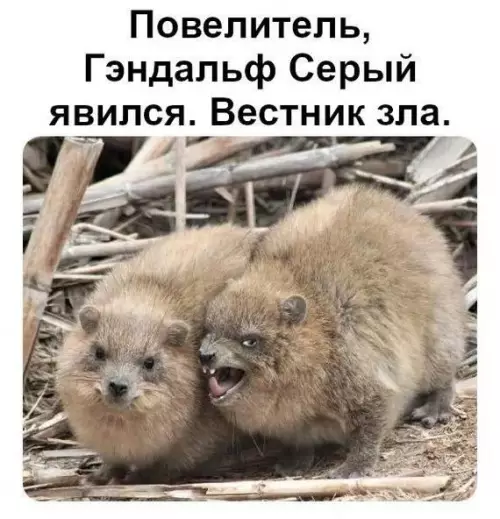 Смешная картинка №724114