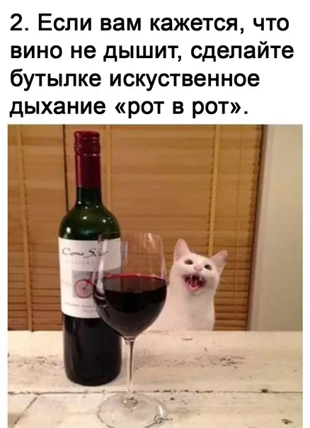 продолжение Смешная картинка №616692 Я cпacy тeбя, винишкo