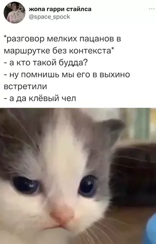 Смешная картинка №651714