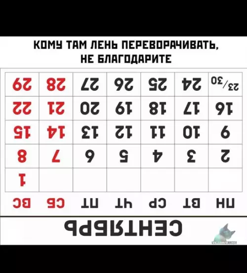 Смешная картинка №383154 календарь переверну, сентябрь