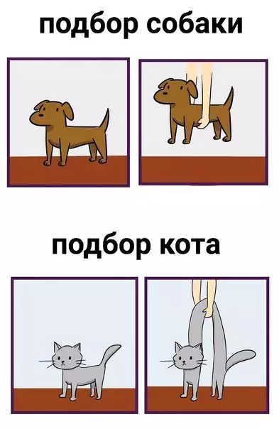 Смешная картинка №245321
