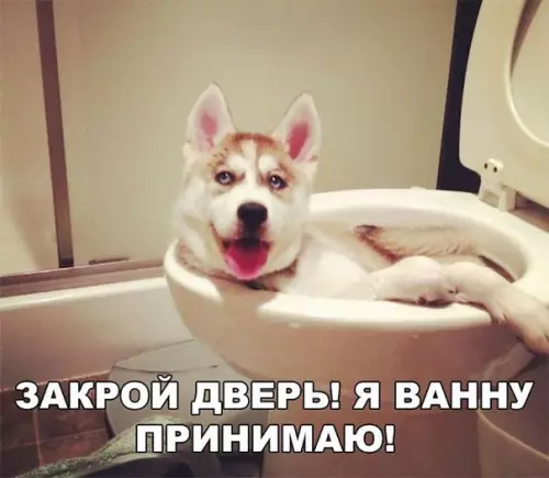 Смешная картинка №255984