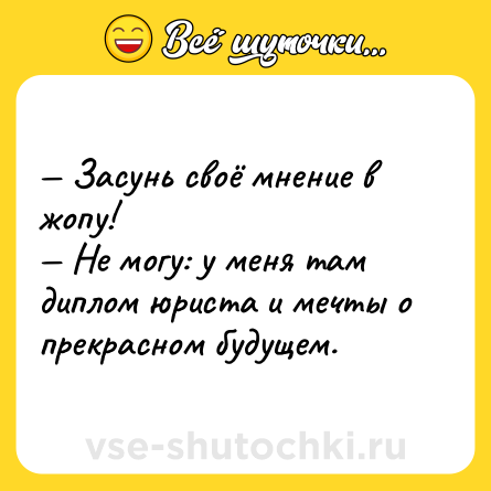 Шутка: Засунь своё мнение в жопу! Не могу: у меня там диплом юриста и мечты о прекрасном будущем.