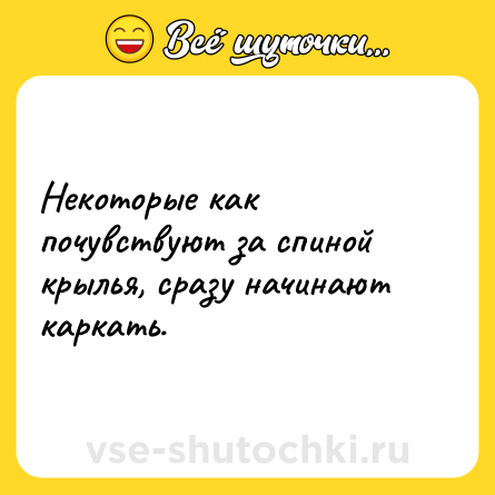 Шутка: Некоторые как почувствуют за спиной крылья, сразу начинают каркать.