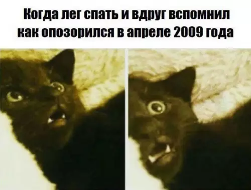 Смешная картинка №244405