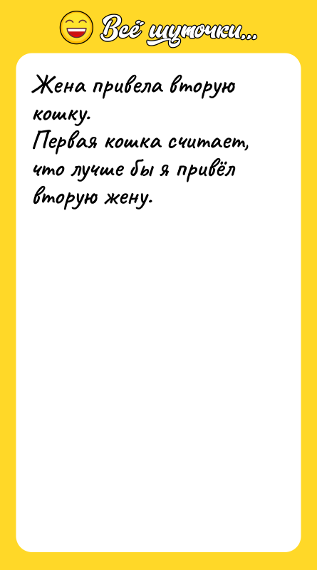 Жена привела вторую кошку. Первая кошка считает, что