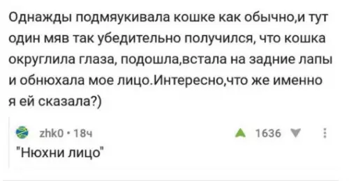 Смешная картинка №267309