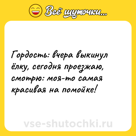 Шутка: Гордость: вчера выкинул ёлку, сегодня проезжаю, смотрю: моя-то самая красивая на помойке!