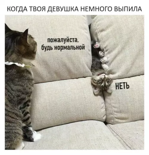 Смешная картинка №481370