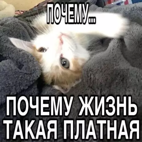 Смешная картинка №773425