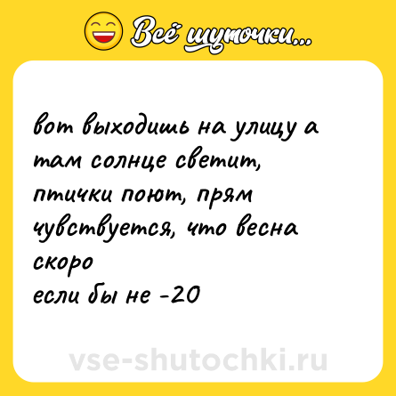Шутка: вот выходишь на улицу а там солнце светит, птички поют, прям чувствуется, что весна скоро  <br>если бы не -20