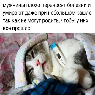 Смешная картинка №696576