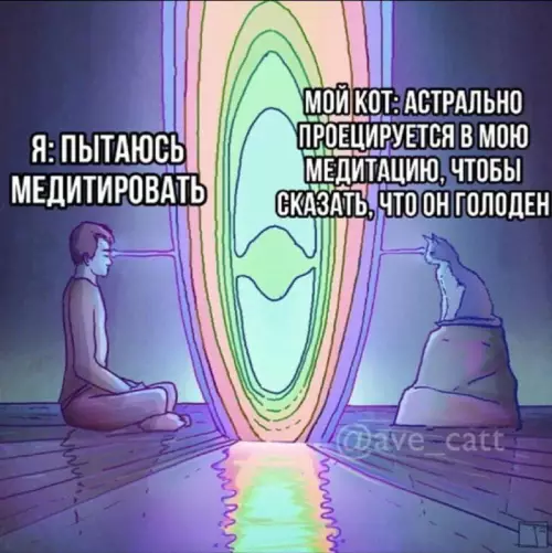 Смешная картинка №680053 Коты 