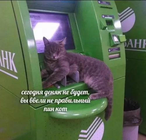 Смешная картинка №773510