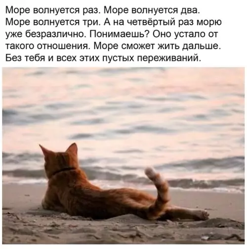 Смешная картинка №512411 Почти захотелось плакать стиснув кулачки
