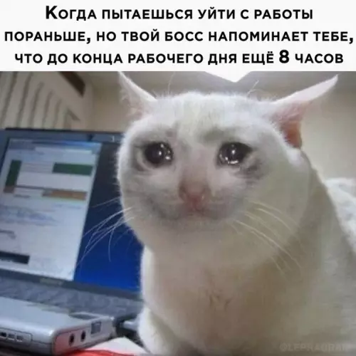 Смешная картинка №616427 Hy блин( работа