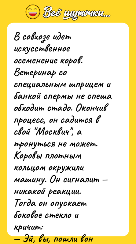 В совхозе идет искусственное осеменение коров. Ветеринар со специальным шприцем