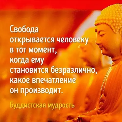 Смешная картинка №275074