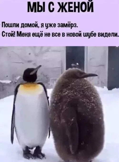 Смешная картинка №712070 Жена