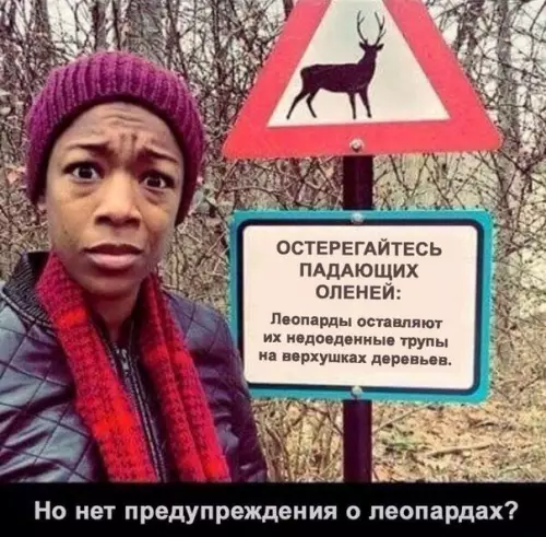 Смешная картинка №235130