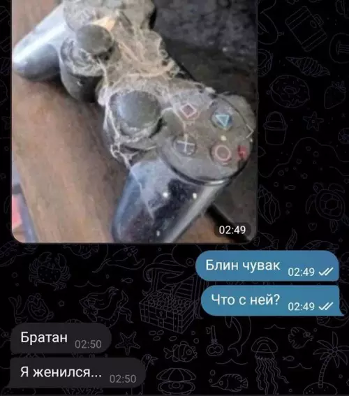 продолжение Смешная картинка №657017 Жаль, конечно, его