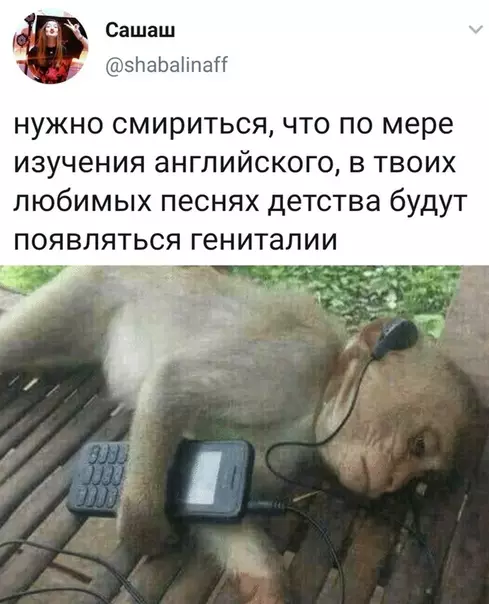 Смешная картинка №503986