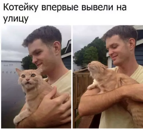 Смешная картинка №275519