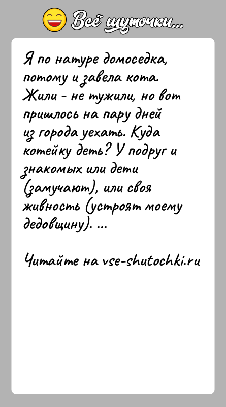 История: Я по натуре домоседка, потому и завела кота. Жили - не тужили, но вот пришлось на пару дней из города