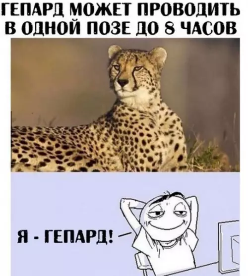 Смешная картинка №479968 Так вот , кто я такой