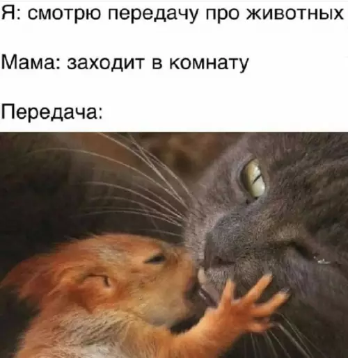 Смешная картинка №702266