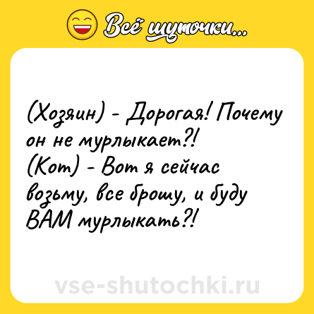 Шутка: (Хозяин) - Дорогая! Почему он не мурлыкает?! <br>(Кот) - Вот я сейчас возьму, все брошу, и буду ВАМ мурлыкать?!