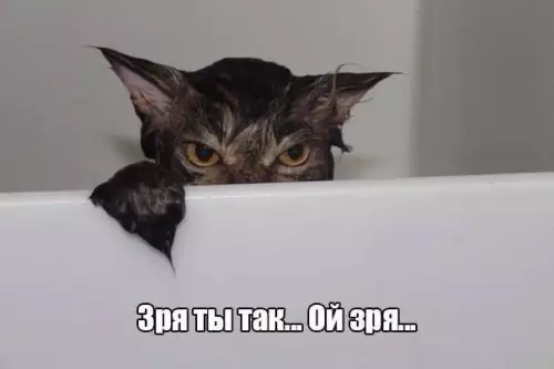 Смешная картинка №207088
