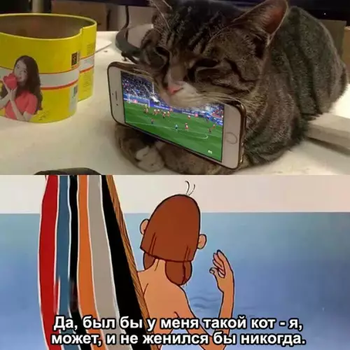 Смешная картинка №261712