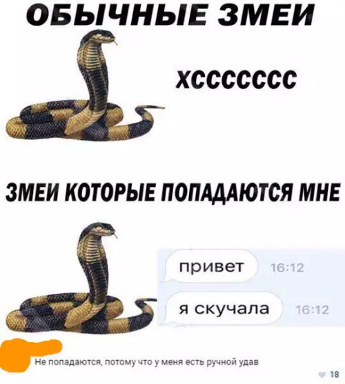 Смешная картинка №248205
