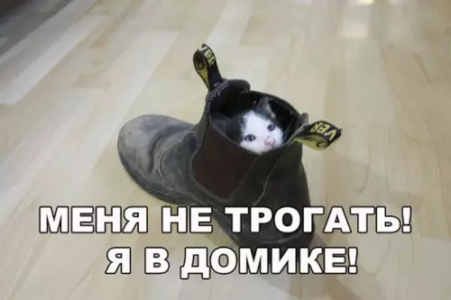 Смешная картинка №250897