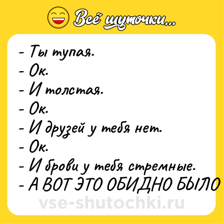 Шутка: - Ты тупая.<br>- Ок.<br>- И толстая.<br>- Ок.<br>- И друзей у тебя нет.<br>- Ок.<br>- И брови у тебя стремные.<br>- А ВОТ ЭТО ОБИДНО БЫЛО