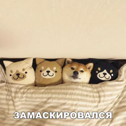 Смешная картинка №281997