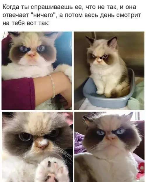 Смешная картинка №654256