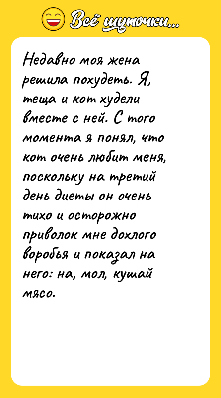 Недавно моя жена решила похудеть. Я, теща и кот худели