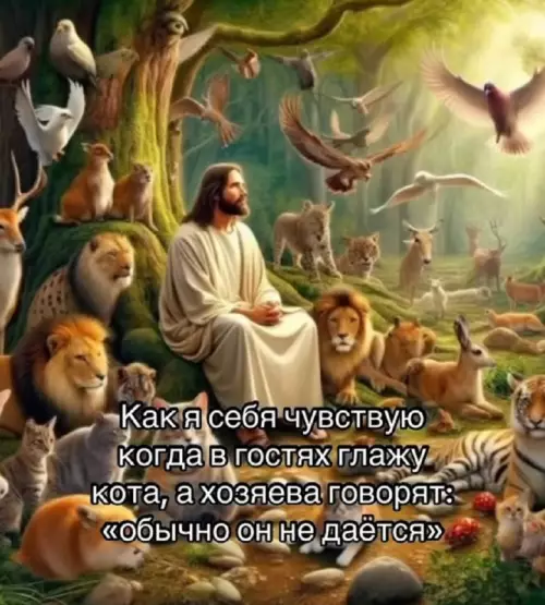 Когда ты избранный повелитель котов 🐈👑 - Как я себя чувствую когда в гостях глажу кота, а
